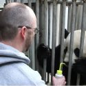 BON VOYAGE: Bao Bao Gets Crated Up, Flying Off To China Today